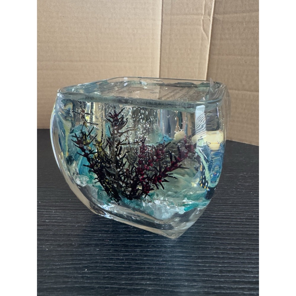Butterfly Gel Candle  Burns Clear Burns‎ Clean Beautiful - Picture 3 of 13